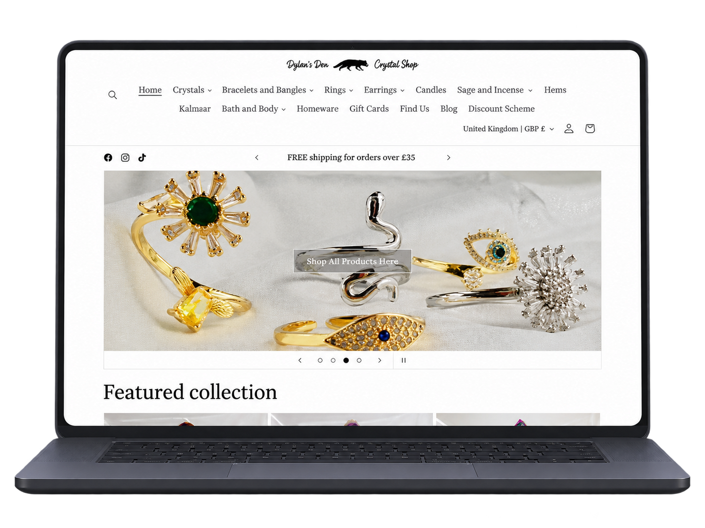 Dylan's Den eCommerce website displayed on a laptop